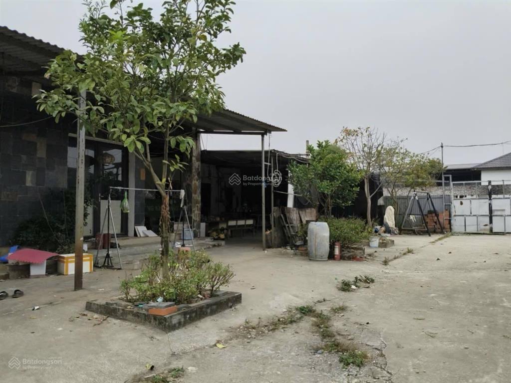 3000m2, đất ruộng sxnn, sẵn nhà c4, kho, mt 63m, 4.3 tỷ, thụy lâm, đông anh