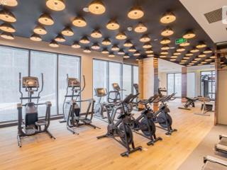 Cho thuê gấp ch 1pn full nội thất, 12 triệu, 43m2 tại vinhomes smart city, p tây mỗ, q. nam từ liêm