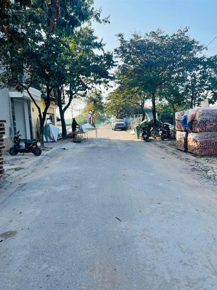 Chính chủ bán đất trình viên, phượng dực, phú xuyên (đường 429).  0988 781 ***