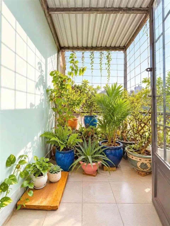 Diện tích lớn, hoàng hoa thám 43m2 chỉ với 4,7 tỷ