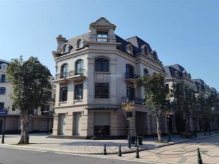 Siêu đắc địa! siêu biệt thự góc vinhomes ocean park 2 mặt đường 20m dt 239m2x4tx35m, cạnh vincom