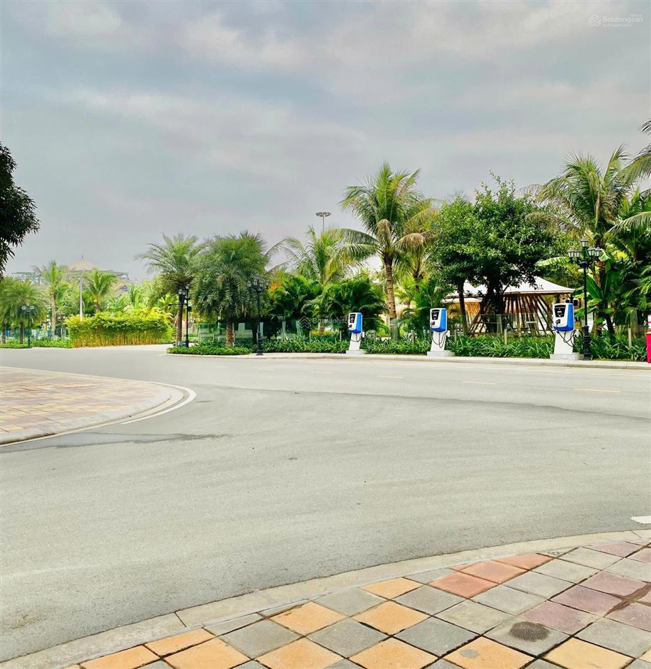 Xứng tầm chủ nhân! căn góc biệt thự đơn lập view hồ đắc địa ocean park 3, dt258m2x4tx30m, 52,5 tỷ