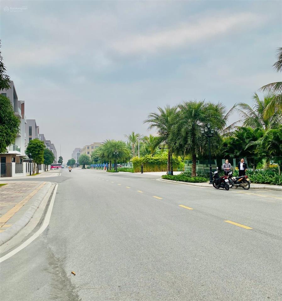 Xứng tầm chủ nhân! căn góc biệt thự đơn lập view hồ đắc địa ocean park 3, dt258m2x4tx30m, 52,5 tỷ