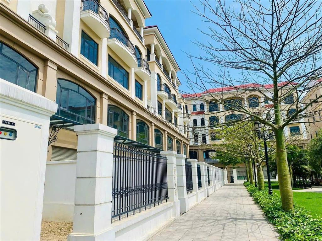 Giảm giá! liền kề ocean park 2 đối diện 30 tòa chung cư  đường 20m, dt 158m2, mt 7m, giá 19,5 tỷ