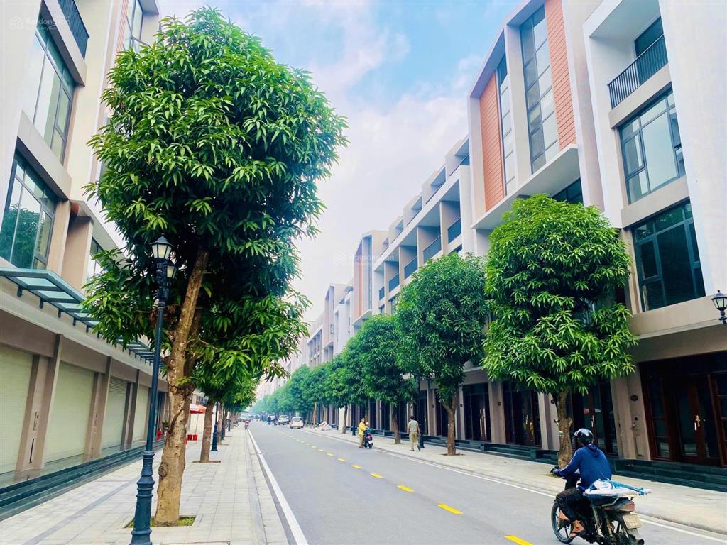 Giảm giá sốc! bán gấp liền kề ocean park 3, dt 54m2, 5 tầng, mt 4.5m  gần biển hồ, giá chỉ 7,5 tỷ