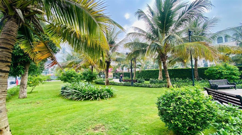 Bán gấp, trả nợ! liền kề cọ xanh ocean park 2 diện tích 52m2, 5t, giá giảm chỉ còn 6,6 tỷ