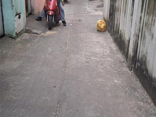 Em toàn bán nhà nguyên hồng, gò vấp 104m2 thông lê quang định, gần cầu bông quận 1