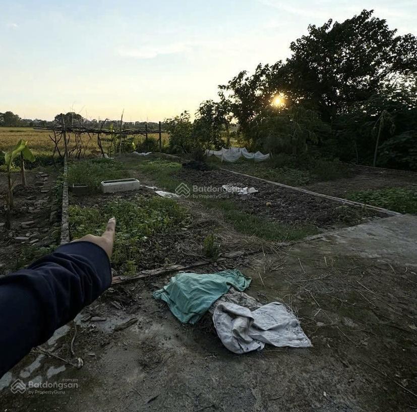 70m, đất kim bài, thanh oai, giá đầu tư chỉ hơn (# 5xtr/m). đường ô tô vào tận nơi, tìm đâu ra