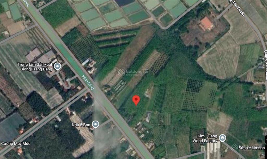 Chính chủ cần bán 10,650m2 có sẵn 400 m2 thổ cư giảm 3 tỷ về 12 tỷ  xã hưng thuận, tây ninh