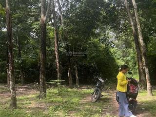 Chính chủ cần bán 10,650m2 có sẵn 400 m2 thổ cư giảm 3 tỷ về 12 tỷ  xã hưng thuận, tây ninh