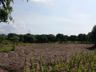 Sở hữu đất gần nha ga đường sắt cao tốc chỉ hơn 1tr/m2