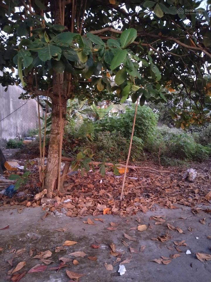 Bán đất nền 100m2 tại dự án tđc đông thành hoá thành gần sát chợ hoá thành