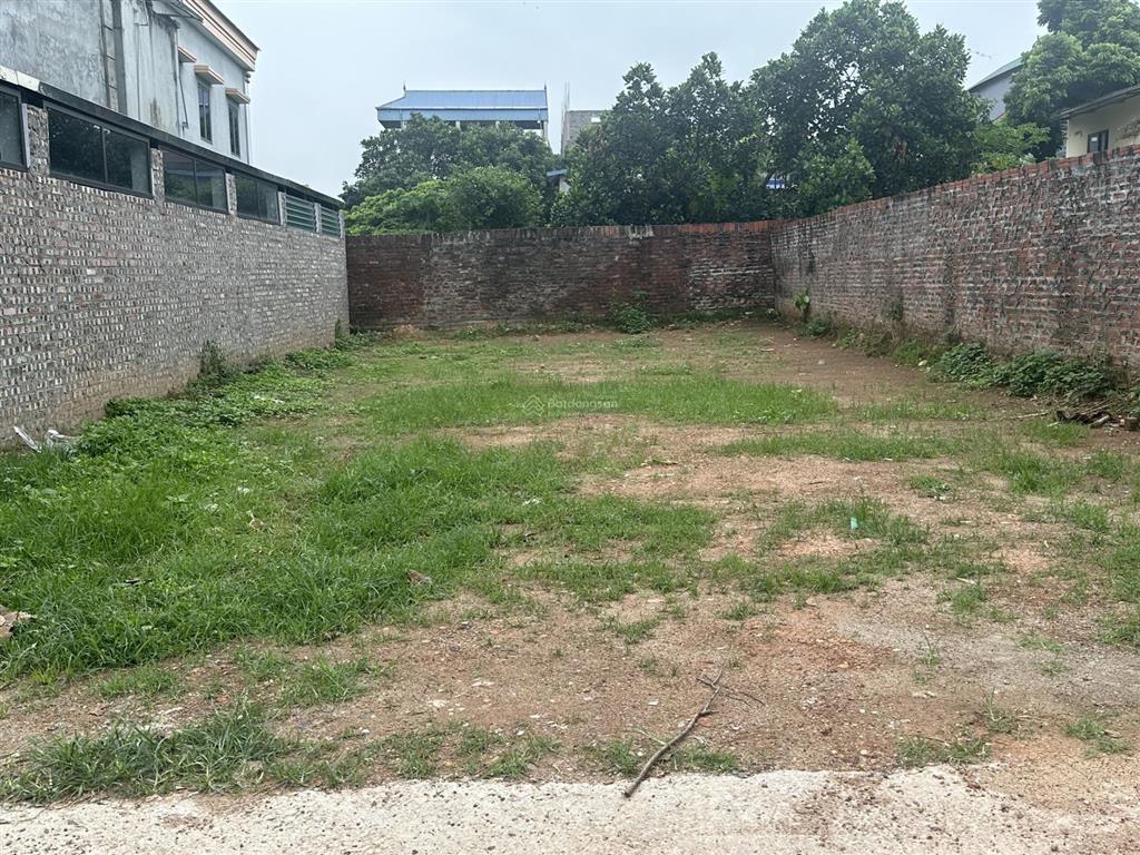 Bán đất thổ cư tại môn tự, xã tân dân, huyện sóc sơn (xã kim anh  hà nội). dt 198 m2  full thổ cư