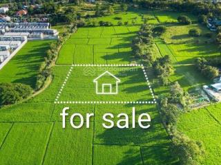 Cơ hội vàng đón đầu kđg xuân áp  tân dân  sóc sơn | kim anh  hà nội