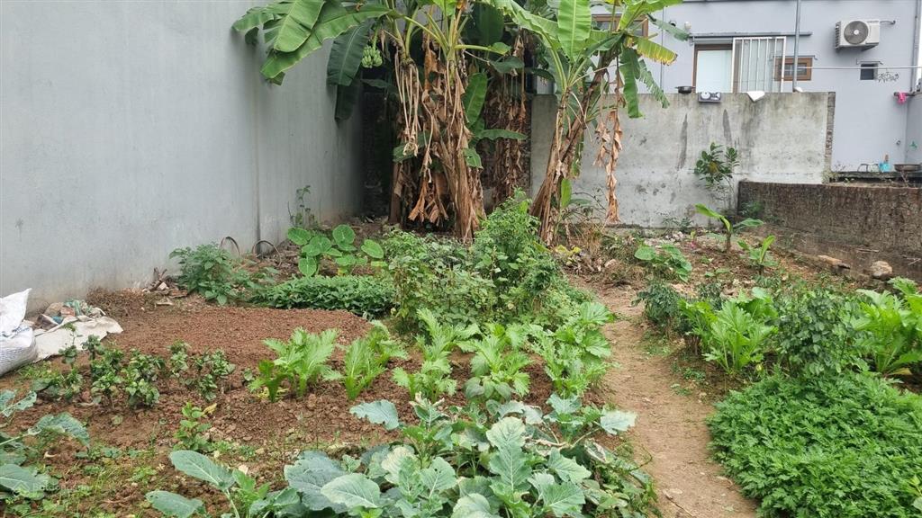 Bán thổ cư tại an trung  tân dân  sóc sơn, 3,5 tỷ, 115m2, hướng tây nam