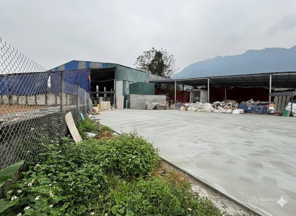 Bán 2300m2 ngay hòa lạc sẵn xưởng dòng tiền