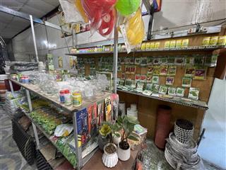 Quận 12 , sang cửa hàng cây cảnh giá chỉ 65 tr , mt đường sầm uất