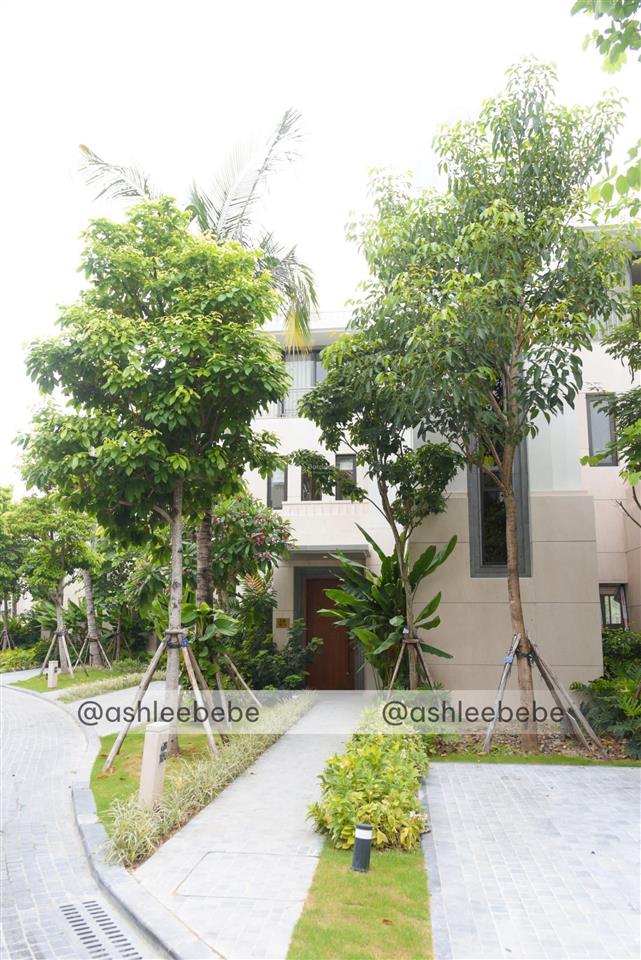 Chính chủ cho thuê biệt thự nội thất cao cấp tại gb  r74, grand bay halong villas, 45 triệu, 326m2