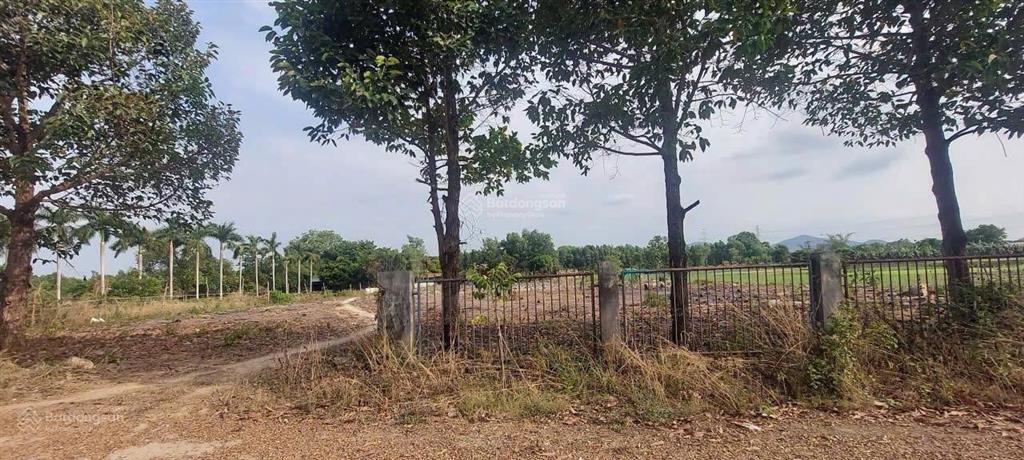 Bán đất 4466m2, phú mỹ, bà rịa vũng tàu