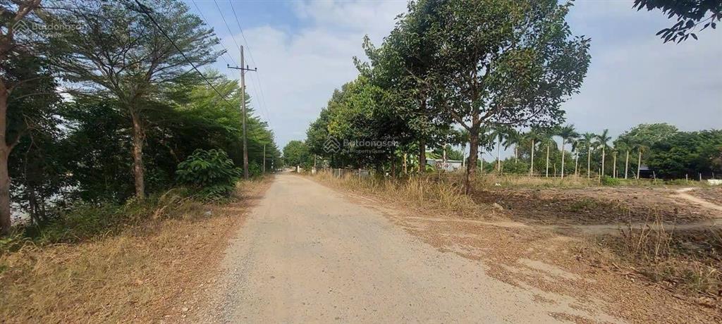 Bán đất 4466m2, phú mỹ, bà rịa vũng tàu