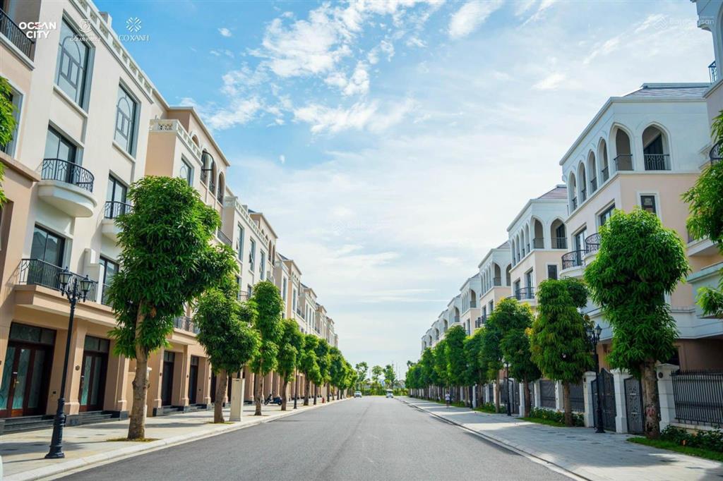 Bán tứ lập đảo dừa vinhomes ocean park 2  120m2  giá 17.x tỷ bao phí  rẻ nhất thị trường