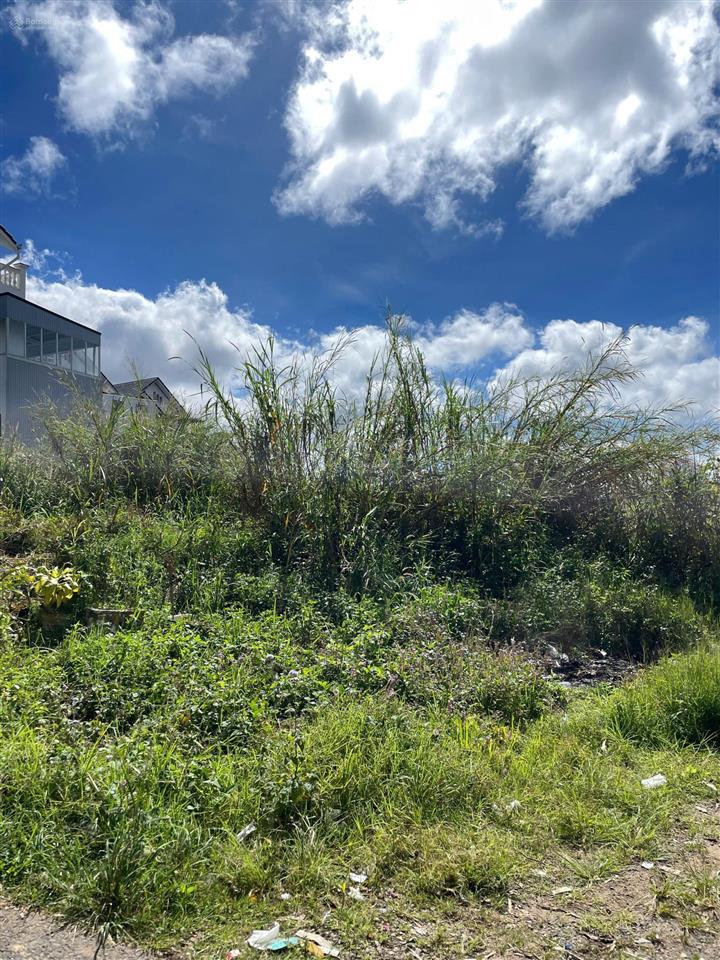 Bán đất tại đường cao thắng, đà lạt, lâm đồng, giá tốt 5 tỷ, 110m2.