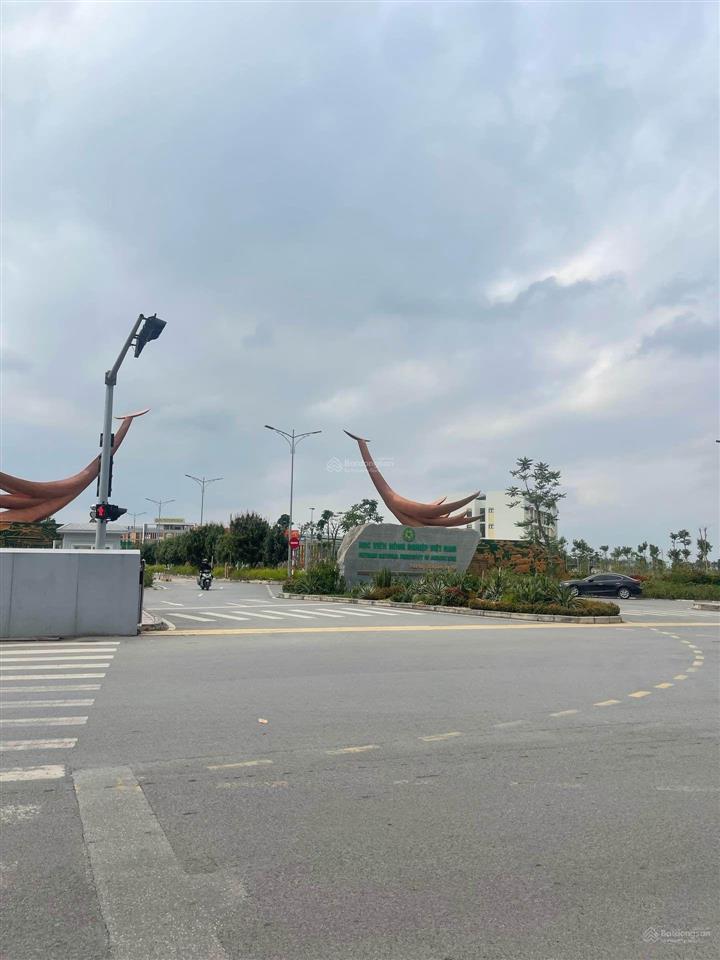 Trung tâm gia lâm, tiện ích đầy đủ, cơ sở hạ tầng đẹp, dân trí cao, ở sướng, dòng tiền ổn, giá tốt