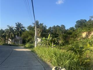 Cho thuê nhà riêng tại nhà vườn, 20 triệu, 10000 m2, giá ưu đãi hot