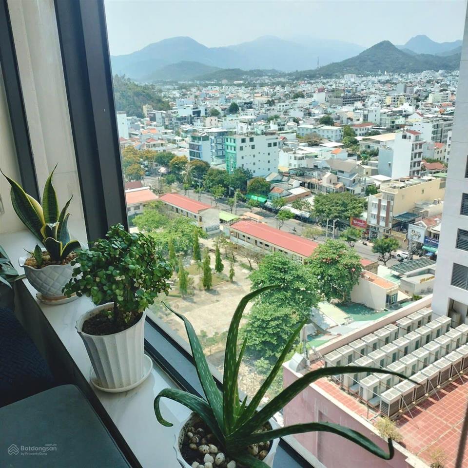 Chủ cần tiền bán ch mường thanh viễn triều, giá 4tỷ 980 ,3pn 90m2 giá sốc !!!!