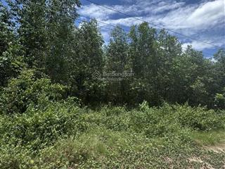 Đất ở giá mềm xuân thọ, xuân sơn 117,9m², ngang 5m, đường đất 3m, chỉ 470 triệu