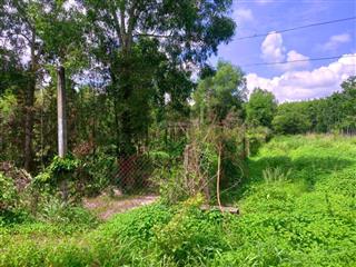 Siêu hot mặt tiền dt651e thôn xuân ninh 1.481,3m² full đất ở, ngang 39,6m cực hiếm, giá 9tr/m²