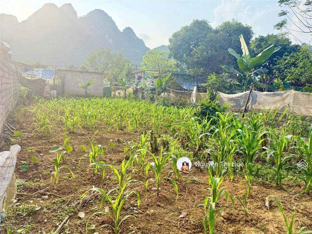 Sốc chỉ 6xx triệu 200m²/50m² thổ cư mt 8,9m hậu 10,85m