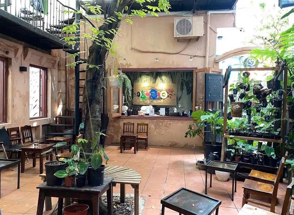 Cho thuê biệt thự sân vườn phố nguyễn thị định, dt 200m2 x 4 tầng, mặt tiền 12m, giá thuê 85tr