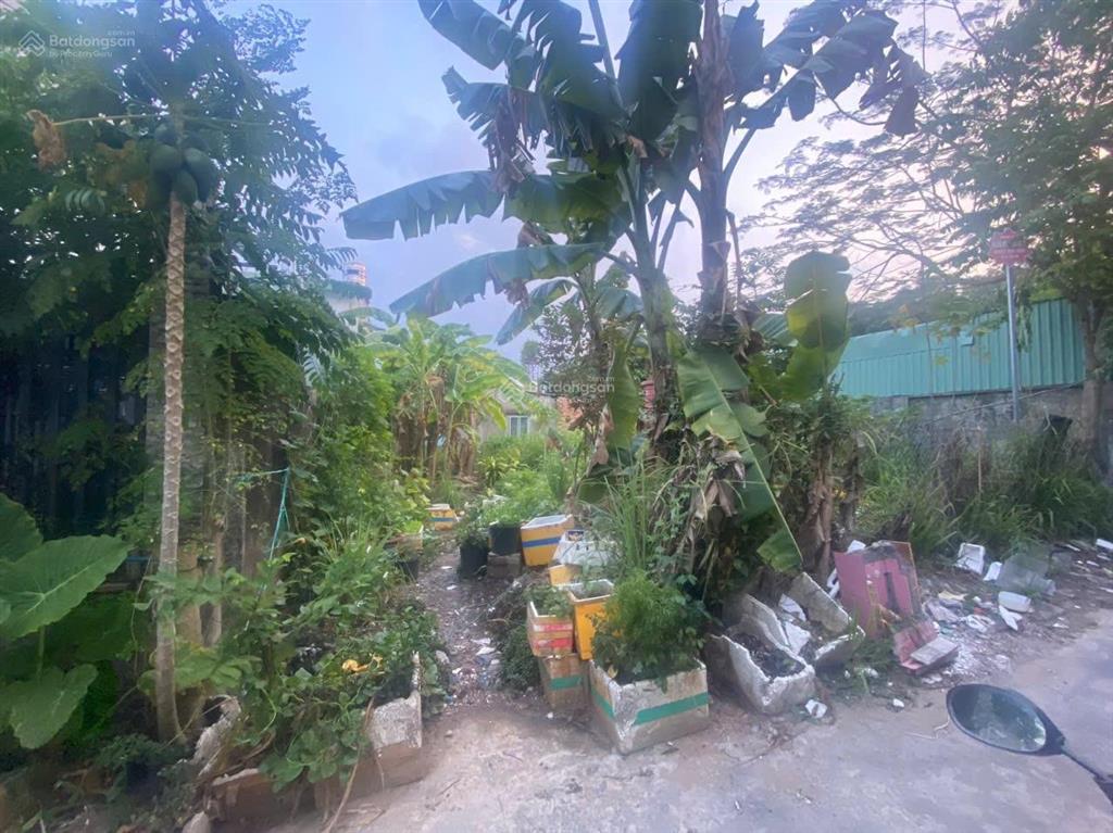 Đất ngộp hàng xóm vinhomes q9 long thạnh mỹ thủ đức