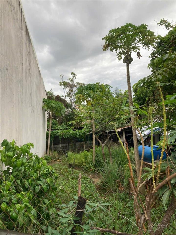 Ngộp đất 95m2 tại đường 20, phú hữu, thủ đức, 3,55 tỷ