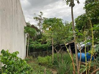 Ngộp đất 95m2 tại đường 20, phú hữu, thủ đức, 3,55 tỷ