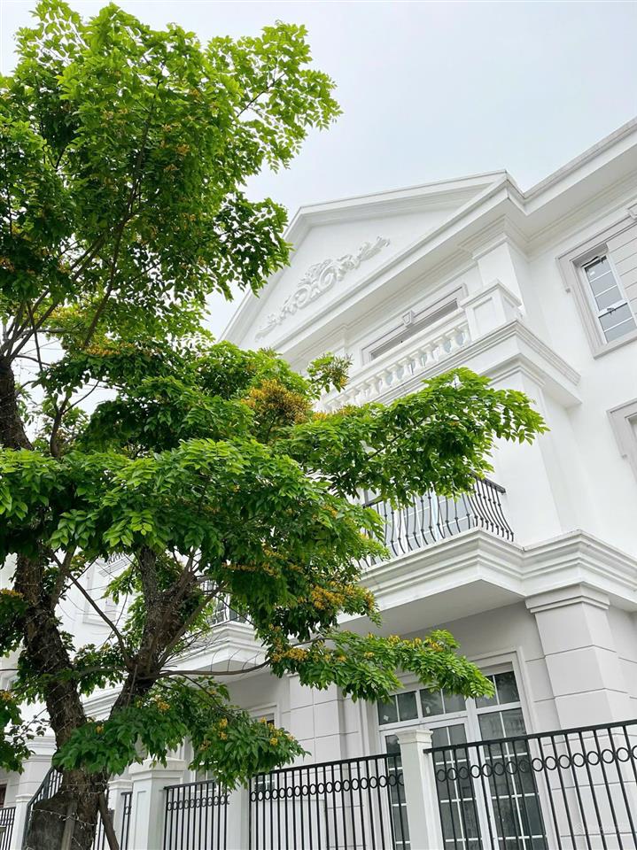 Chính chủ bán lại biệt thự eurowindow twin parks gia lâm 192m2 view công viên. đã có sổ