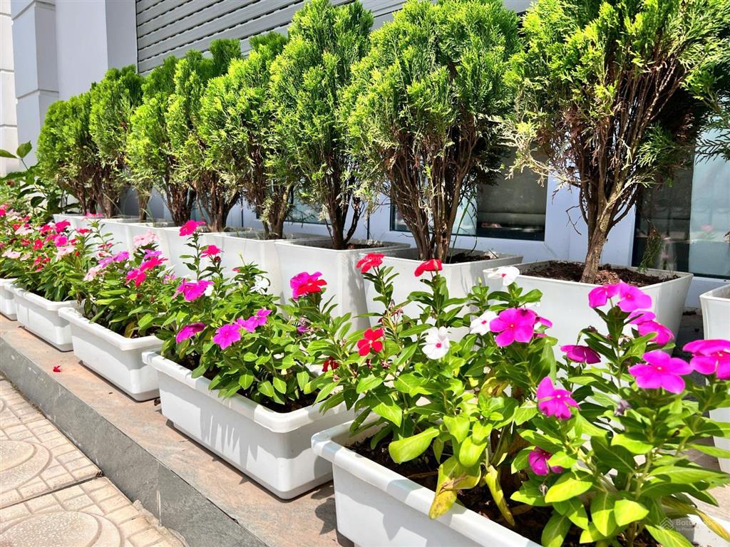 Căn biệt thự 192,5m2 giá tốt nhất dự án eurowindow twin park ký hợp trực tiếp chủ đầu tư.