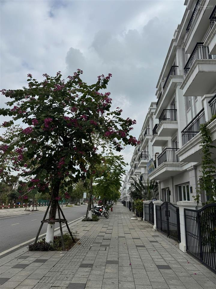 Bán gấp liền kề 75m2 đường vàng anh, view công viên, cạnh shopping center, sẵn sổ lâu dài.