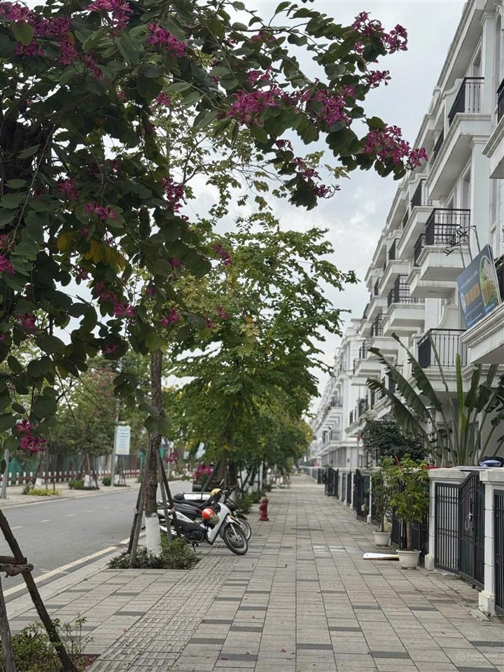 Bán gấp liền kề 75m2 đường vàng anh, view công viên, cạnh shopping center, sẵn sổ lâu dài.