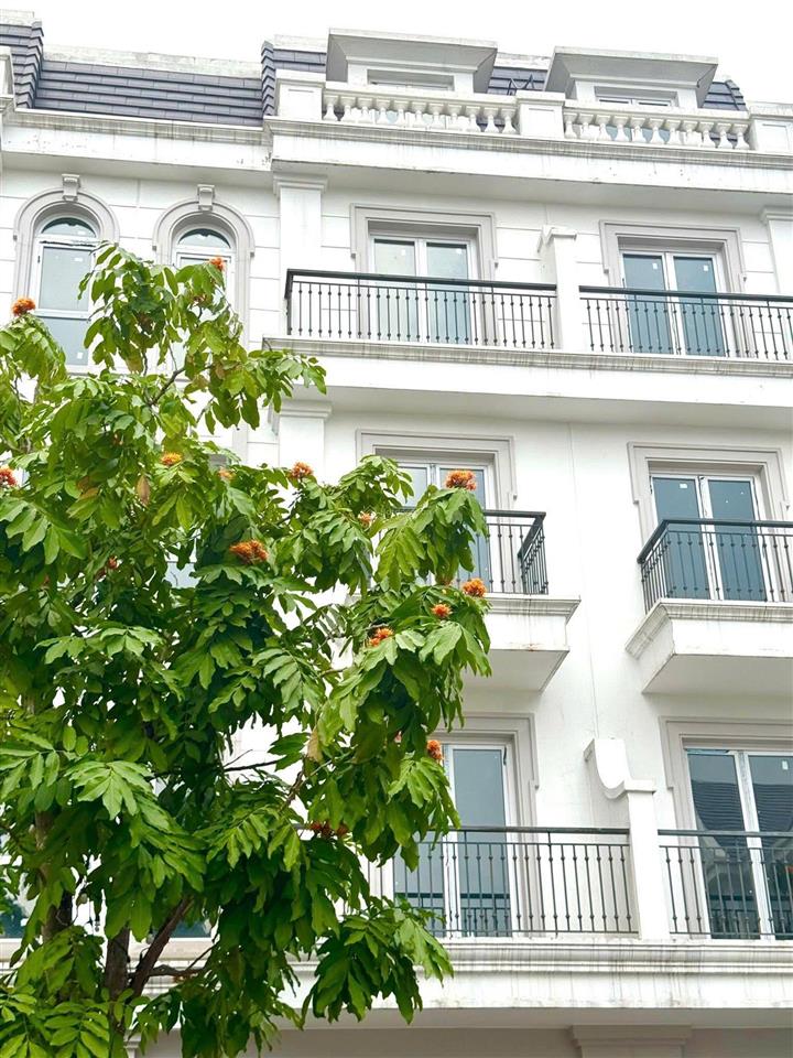 Bán gấp liền kề 75m2 đường vàng anh, view công viên, cạnh shopping center, sẵn sổ lâu dài.