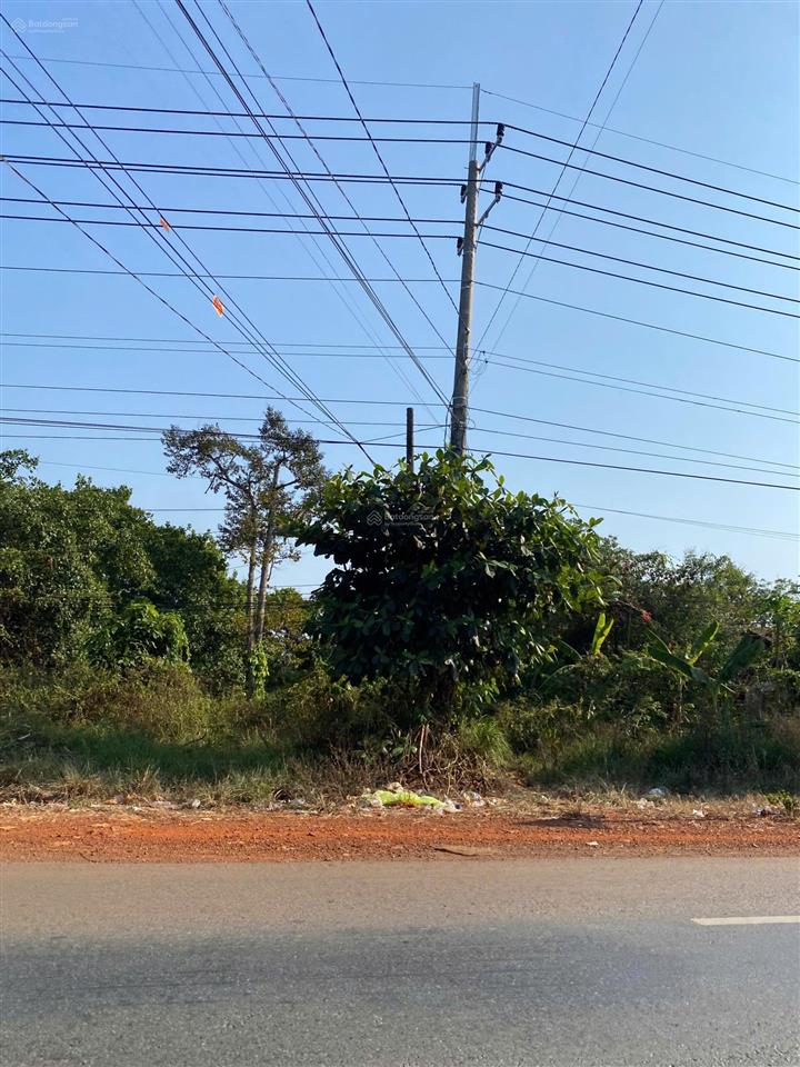 Bán đất tại quốc lộ 14, đoàn kết, bù đăng, giá tốt 27,6 tỷ, 12260 m2