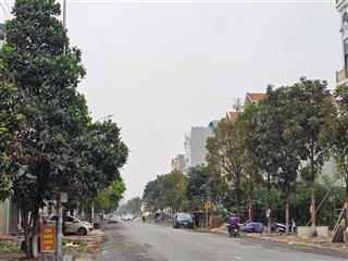 Bán 2 lô liền mặt nguyễn quyền thuộc dự án đại hoàng long  tp bắc ninh, dt 230m2, mặt tiền 10m