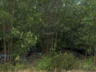 Bán đất 3,3 hecta chính chủ tại tân đức, hàm tân, bình thuận