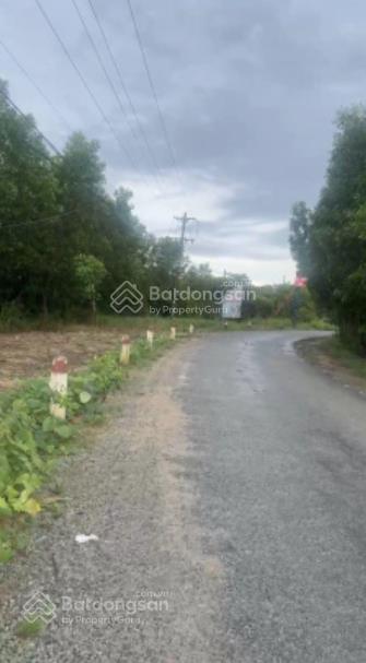 Bán đất 3,3 hecta chính chủ tại tân đức, hàm tân, bình thuận