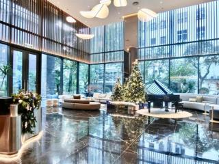 Cho thuê chcc tại the nelson private residences, 29 láng hạ, 87m2, 2pn, giá 25 tr/tháng.0985 878 ***