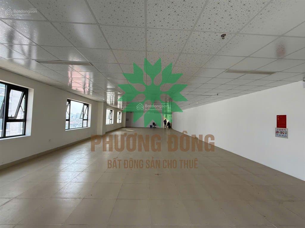 Cho thuê mb 600m2 thông sàn  toà nhà mặt tiền đại lộ lê nin (vinh  nghệ an)
