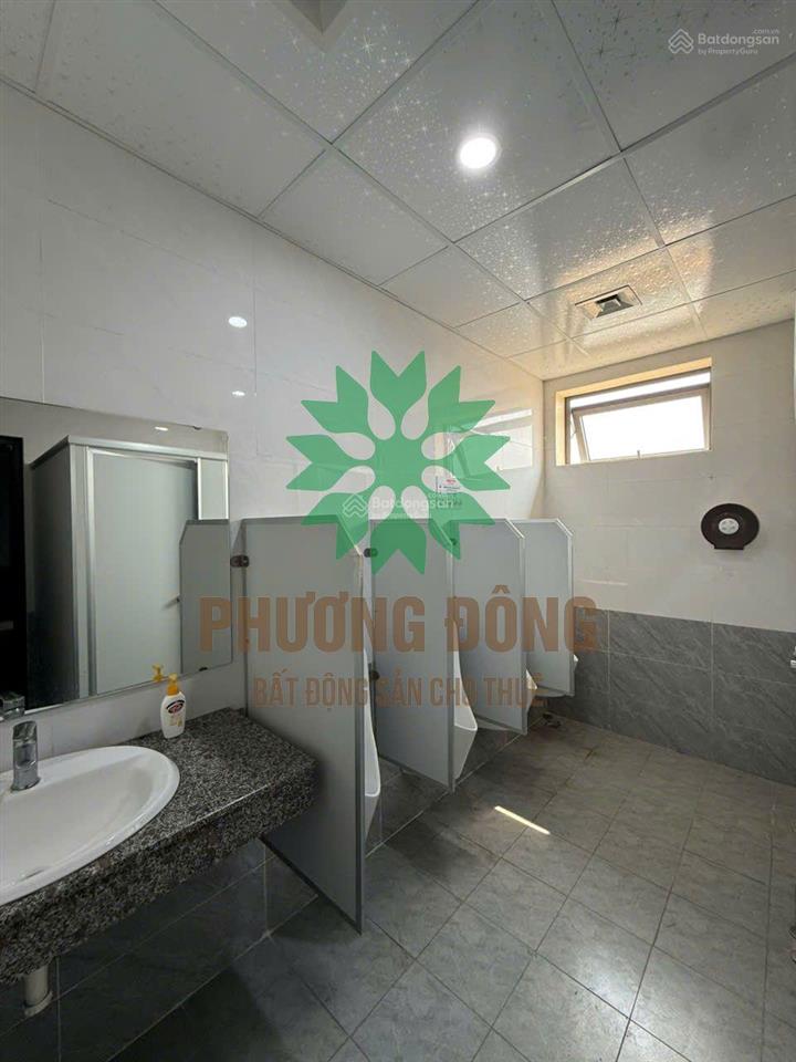Cho thuê mb 600m2 thông sàn  toà nhà mặt tiền đại lộ lê nin (vinh  nghệ an)