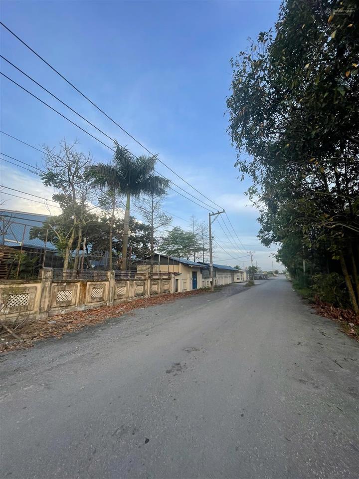 Khu đất 2mt đường kênh 8 dt 12.500m2 sát võ trần chí giá bán  5.5tr/m2