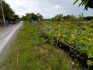 Nhà vườn + đất mt 6m kênh xáng a qh 9m xã phước lâm cần giuộc long an